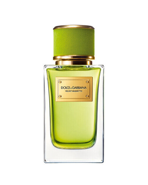 Dolce & Gabbana Velvet Mughetto