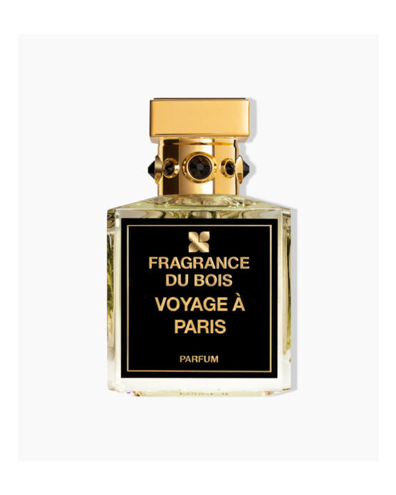 Voyage a Paris