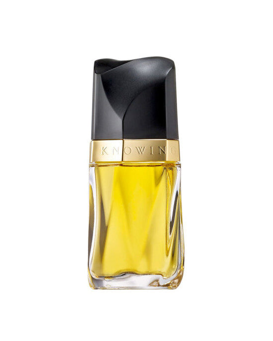 Estee Lauder Knowing