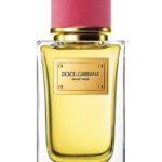 Dolce & Gabbana Velvet Rose