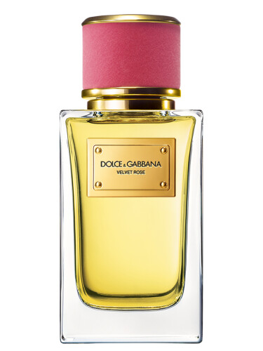 Dolce & Gabbana Velvet Rose
