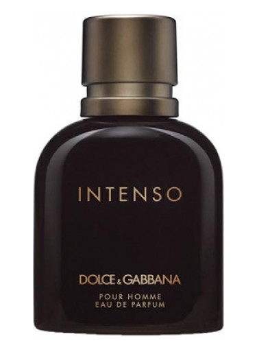 Dolce & Gabbana Homme Intenso Edp