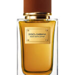Dolce & Gabbana Velvet Exotic Leather