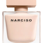 Narciso Poudre