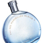 Hermes Eau des Merveilles Bleue Edt