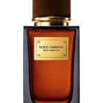 Dolce & Gabbana Velvet Amber Sun