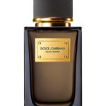Dolce & Gabbana Velvet Inceno