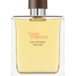 Hermes Terre D'hermes Eau Intense Vetiver