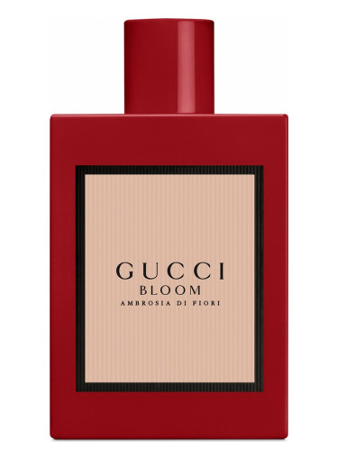 Gucci Bloom Amberosia Di Fiori Intense