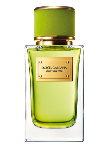 Dolce & Gabbana Velvet Mughetto