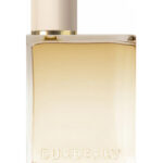 Burberry London Dream