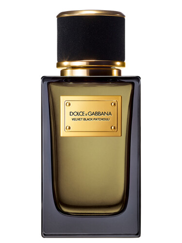 Dolce & Gabbana Velvet Black Patchuli