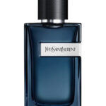 YSL Y Edp Intense