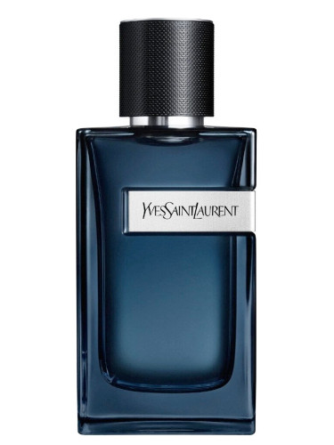 YSL Y Edp Intense