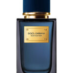Dolce & Gabbana Velvet Blue Musk