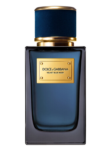 Dolce & Gabbana Velvet Blue Musk