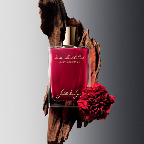 In the Mood for Oud - Image 3