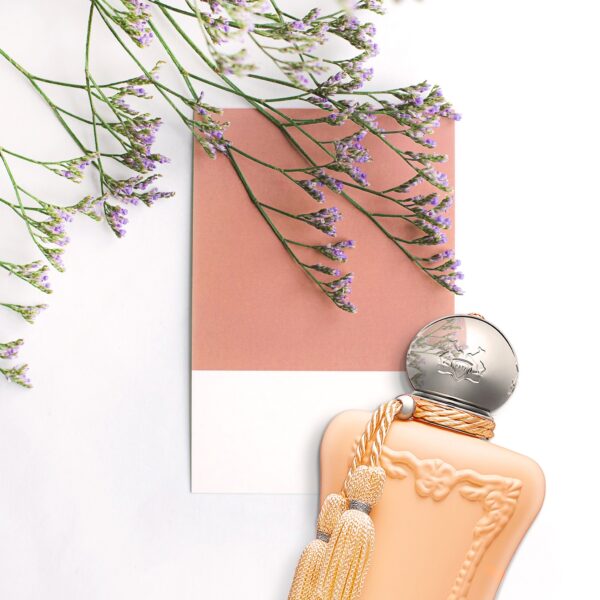 Cassili - Image 3