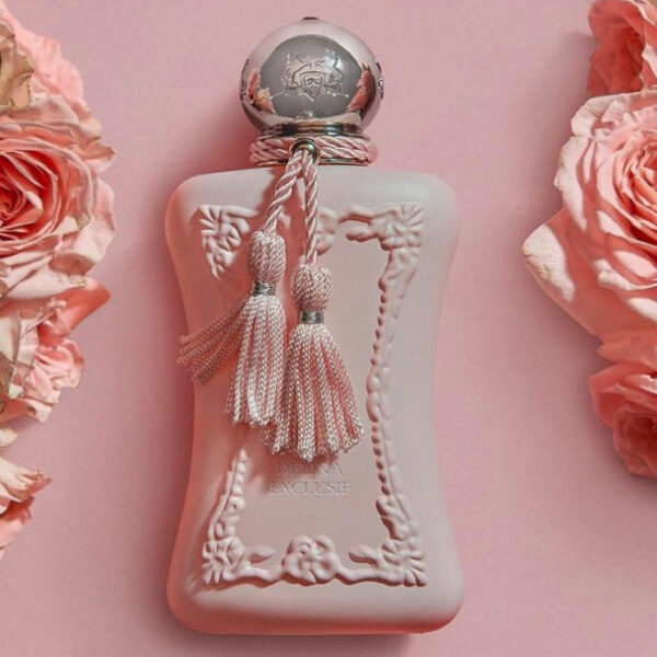 Delina Exclusif - Image 3