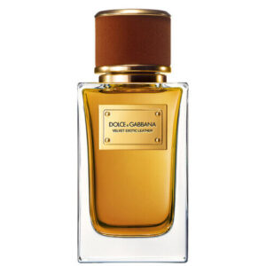 Dolce & Gabbana Velvet Exotic Leather