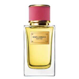 Dolce & Gabbana Velvet Rose
