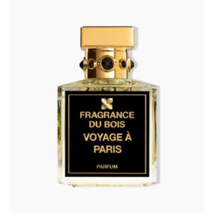 Voyage a Paris