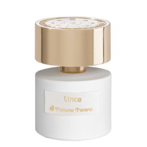 Lince