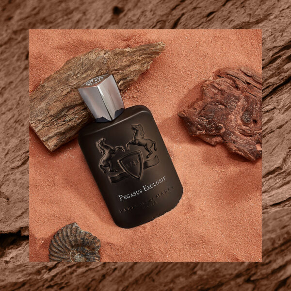 Pegasus Exclusif - Image 2