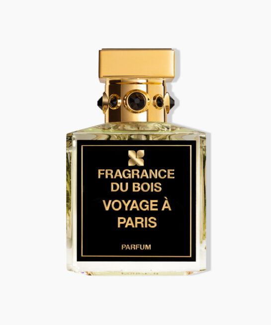 Voyage a Paris