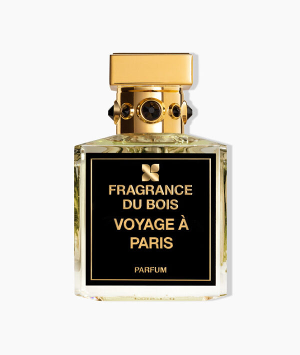 Voyage a Paris